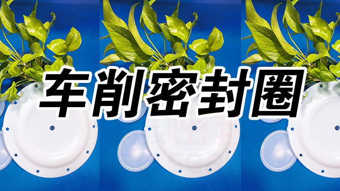 2車削密封圈，氣動隔膜泵膜片密封件